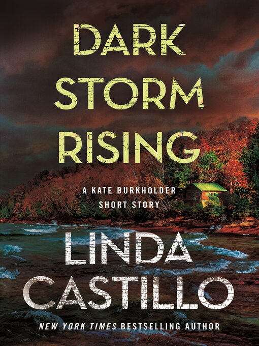 Title details for Dark Storm Rising by Linda Castillo - Available